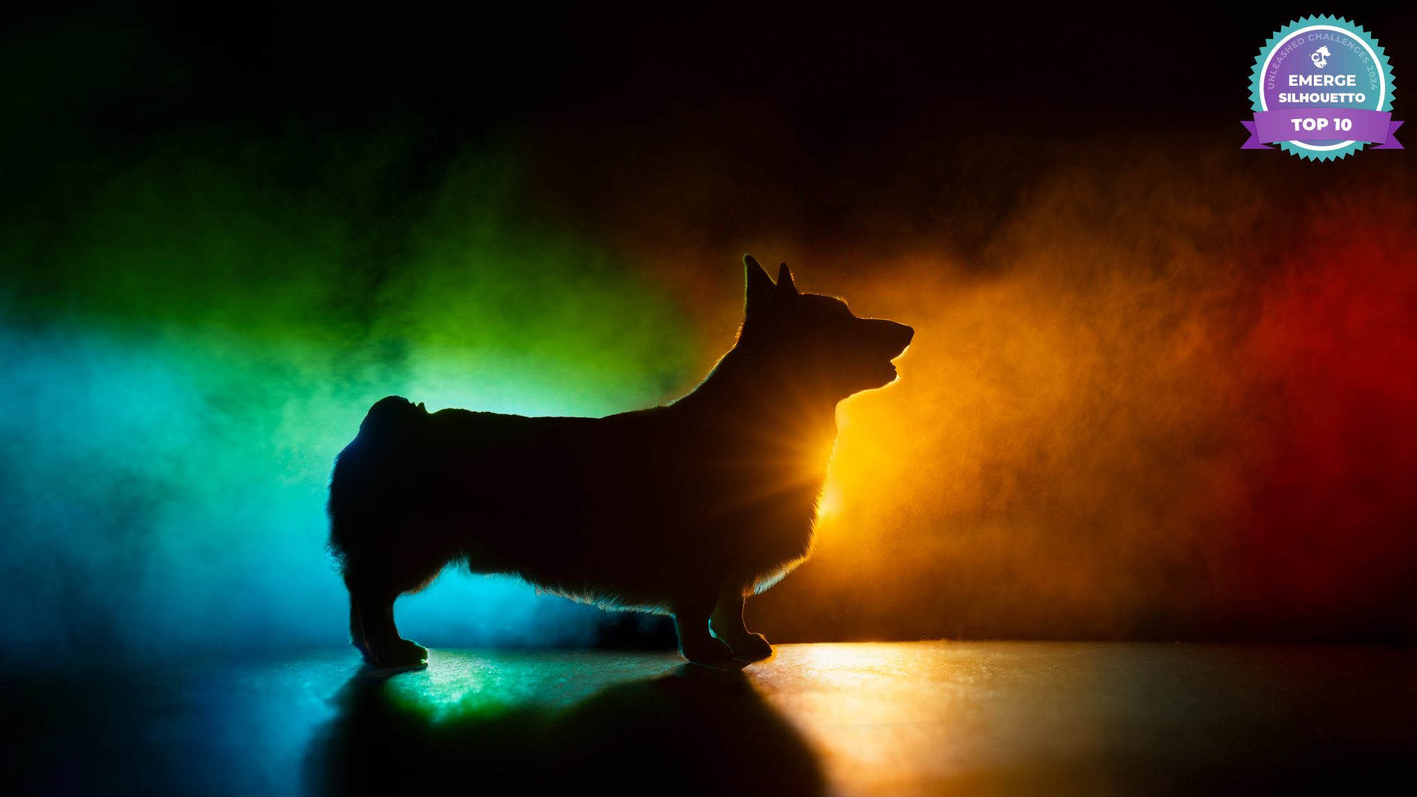07_silhouetto_top10 upups